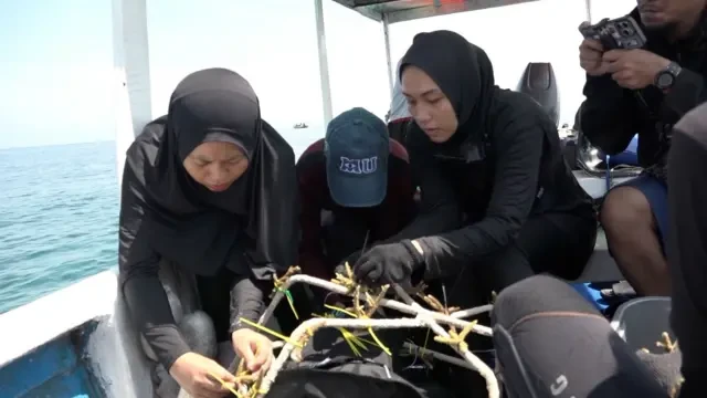 Sunset in the mountains