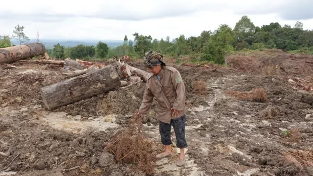 Lahan Food Estate Humbang Hasundutan