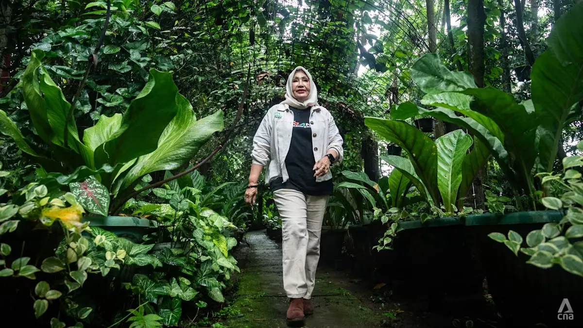 Sunset in the mountains